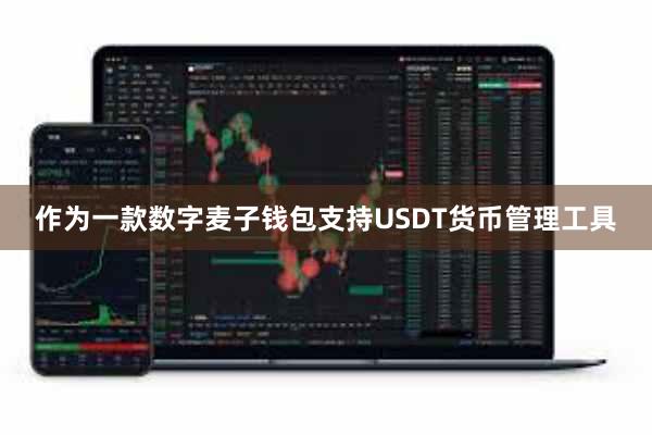 作为一款数字麦子钱包支持USDT货币管理工具