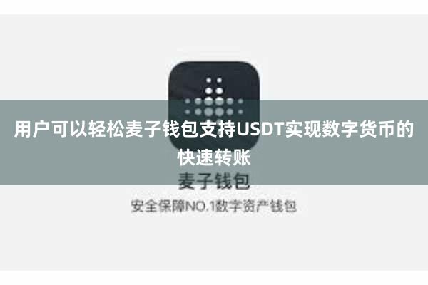 用户可以轻松麦子钱包支持USDT实现数字货币的快速转账