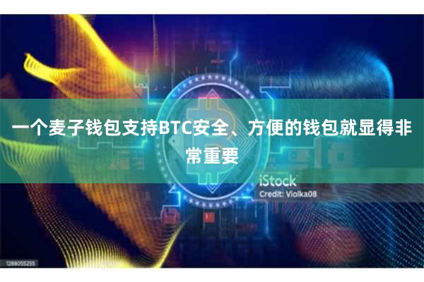 一个麦子钱包支持BTC安全、方便的钱包就显得非常重要