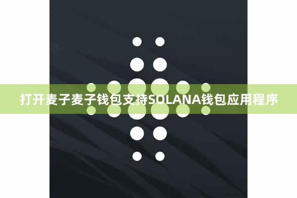 打开麦子麦子钱包支持SOLANA钱包应用程序