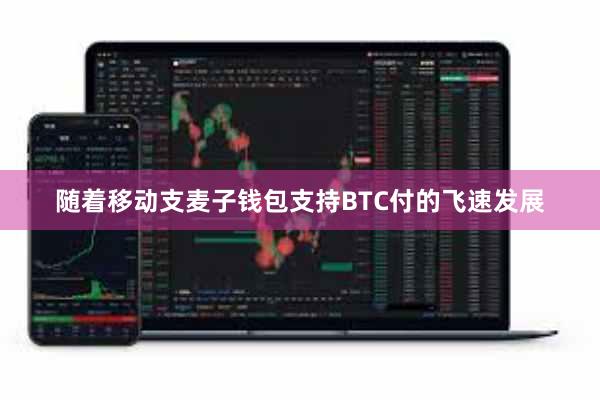随着移动支麦子钱包支持BTC付的飞速发展