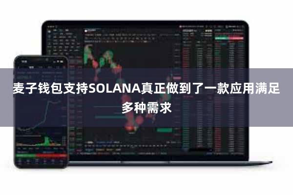 麦子钱包支持SOLANA真正做到了一款应用满足多种需求