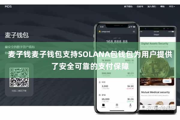 麦子钱麦子钱包支持SOLANA包钱包为用户提供了安全可靠的支付保障