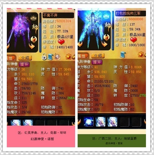 魔域宝宝神等级有用吗_魔域宝宝怎么成神视频_天堂魔域