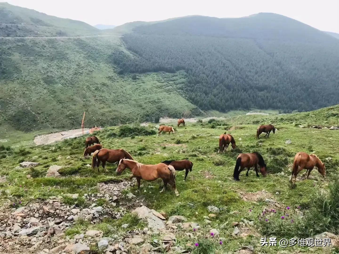 品读庄子逍遥游之五