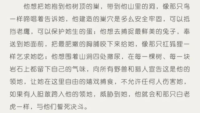 上古情歌_上古情歌黄晓明起反应_黄晓明上古情缘