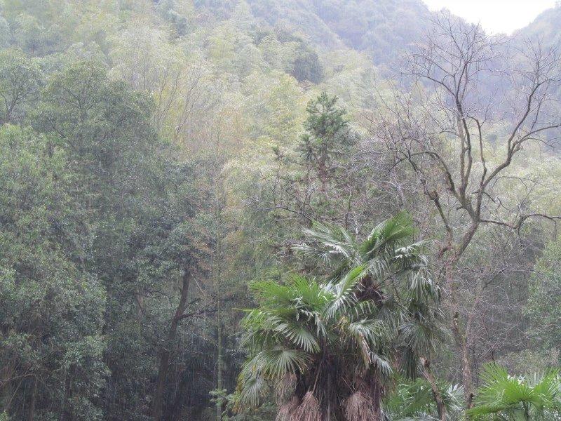 江湖飘门_江湖飘什么意思_飘在江湖