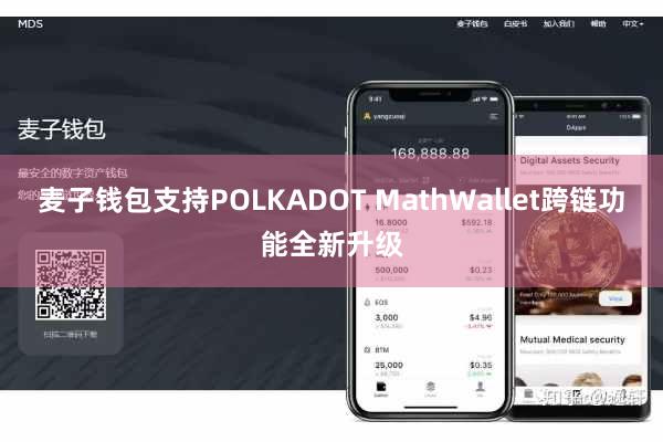 麦子钱包支持POLKADOT MathWallet跨链功能全新升级