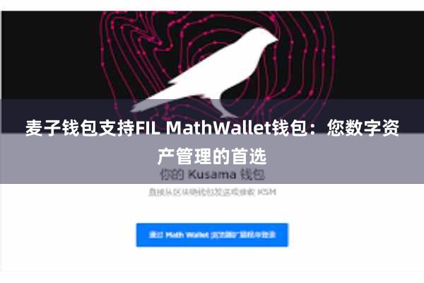麦子钱包支持FIL MathWallet钱包：您数字资产管理的首选