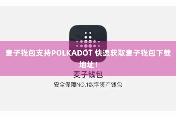 麦子钱包支持POLKADOT 快速获取麦子钱包下载地址！