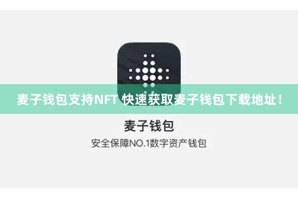 麦子钱包支持NFT 快速获取麦子钱包下载地址！