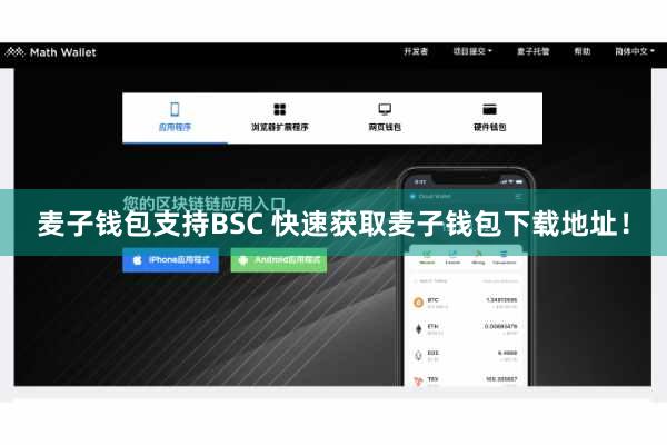 麦子钱包支持BSC 快速获取麦子钱包下载地址！