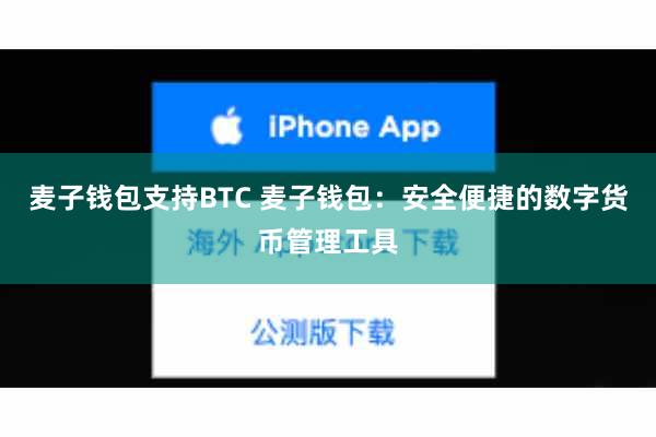 麦子钱包支持BTC 麦子钱包：安全便捷的数字货币管理工具