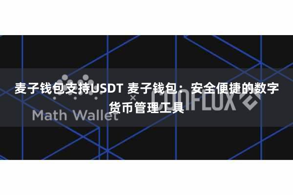 麦子钱包支持USDT 麦子钱包：安全便捷的数字货币管理工具