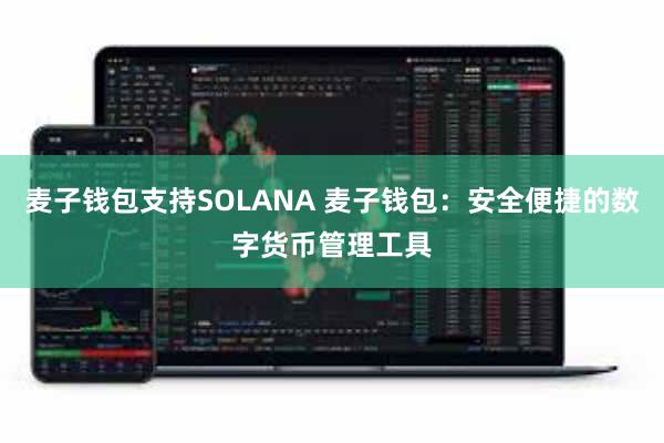 麦子钱包支持SOLANA 麦子钱包：安全便捷的数字货币管理工具