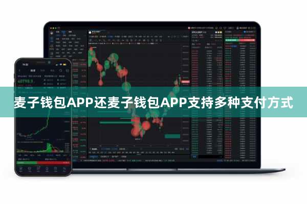 麦子钱包APP还麦子钱包APP支持多种支付方式