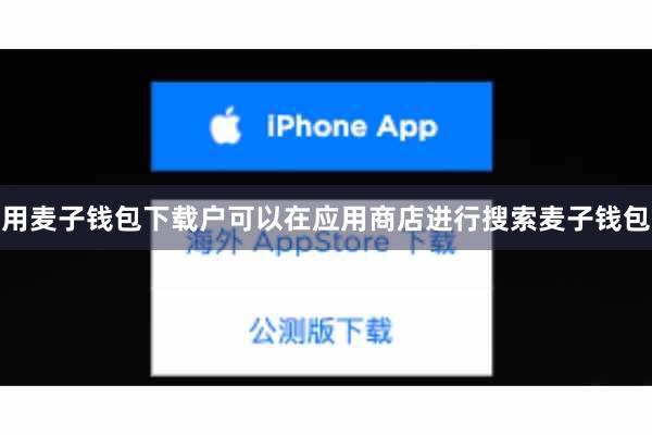 用麦子钱包下载户可以在应用商店进行搜索麦子钱包