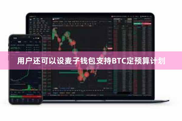 用户还可以设麦子钱包支持BTC定预算计划