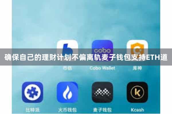 确保自己的理财计划不偏离轨麦子钱包支持ETH道