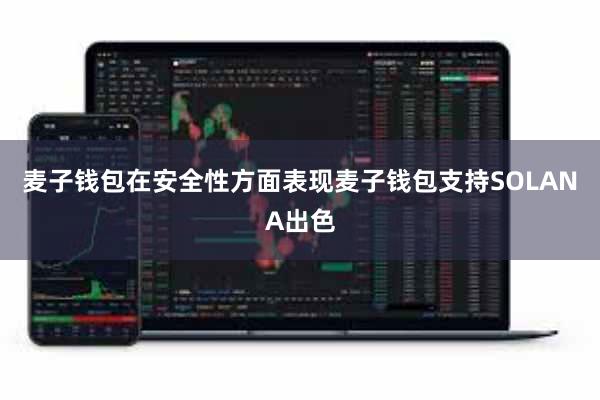 麦子钱包在安全性方面表现麦子钱包支持SOLANA出色