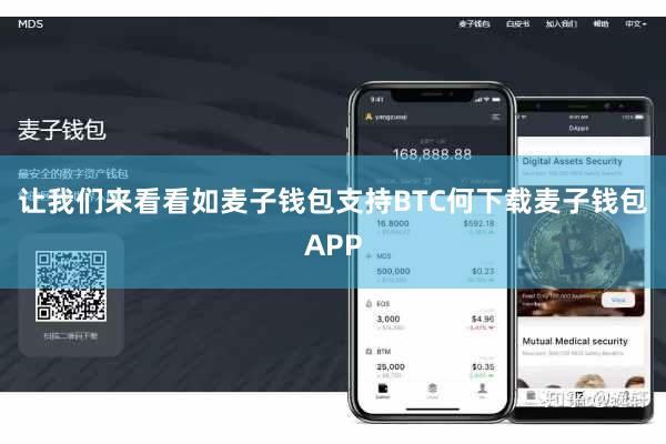 让我们来看看如麦子钱包支持BTC何下载麦子钱包APP