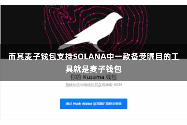 而其麦子钱包支持SOLANA中一款备受瞩目的工具就是麦子钱包