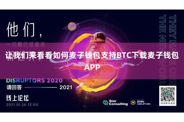 让我们来看看如何麦子钱包支持BTC下载麦子钱包APP