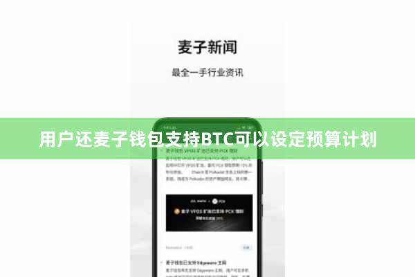 用户还麦子钱包支持BTC可以设定预算计划