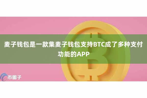 麦子钱包是一款集麦子钱包支持BTC成了多种支付功能的APP