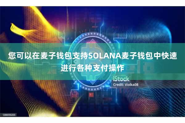 您可以在麦子钱包支持SOLANA麦子钱包中快速进行各种支付操作