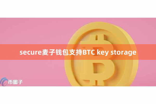 secure麦子钱包支持BTC key storage
