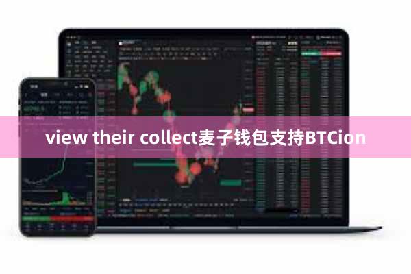 view their collect麦子钱包支持BTCion