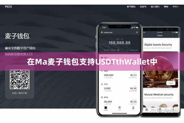 在Ma麦子钱包支持USDTthWallet中