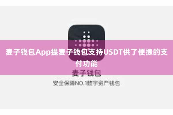 麦子钱包App提麦子钱包支持USDT供了便捷的支付功能