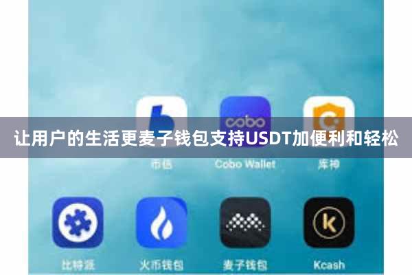 让用户的生活更麦子钱包支持USDT加便利和轻松