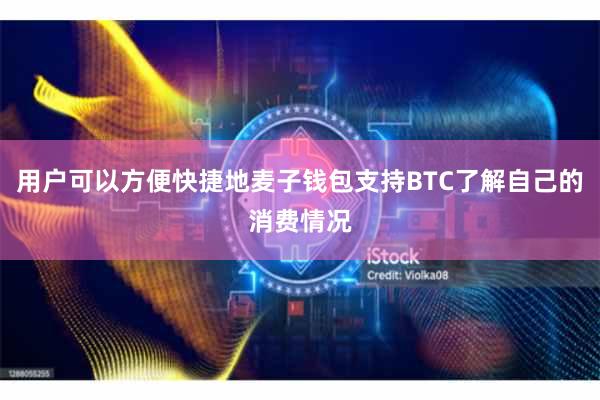 用户可以方便快捷地麦子钱包支持BTC了解自己的消费情况