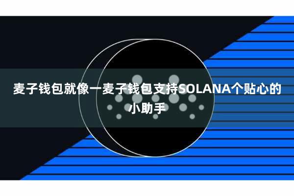 麦子钱包就像一麦子钱包支持SOLANA个贴心的小助手