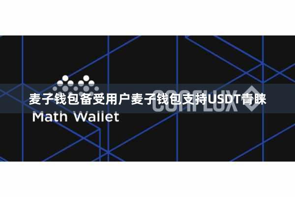 麦子钱包备受用户麦子钱包支持USDT青睐