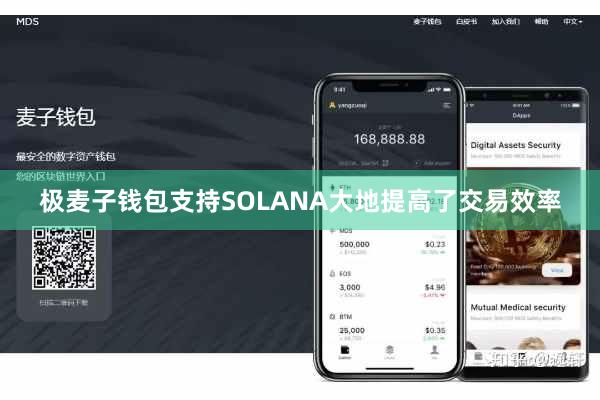 极麦子钱包支持SOLANA大地提高了交易效率