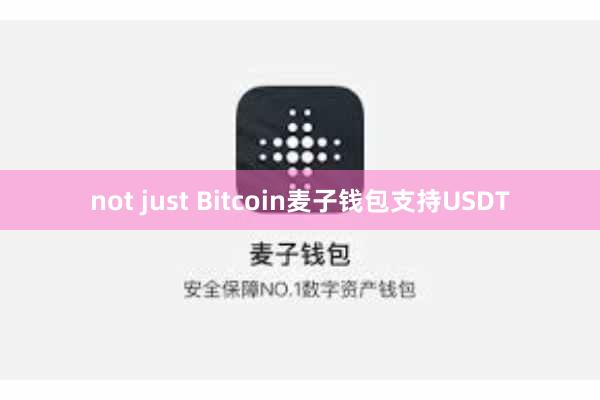 not just Bitcoin麦子钱包支持USDT