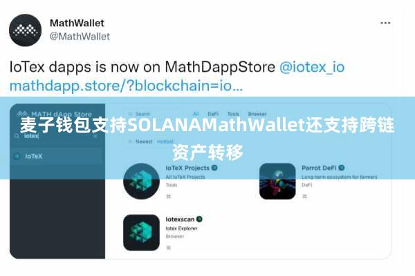 麦子钱包支持SOLANAMathWallet还支持跨链资产转移