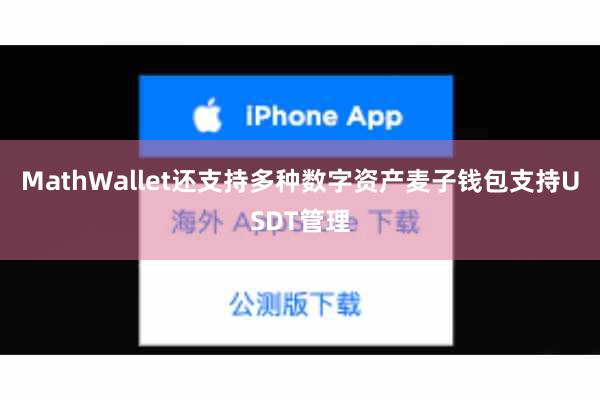 MathWallet还支持多种数字资产麦子钱包支持USDT管理