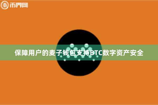 保障用户的麦子钱包支持BTC数字资产安全
